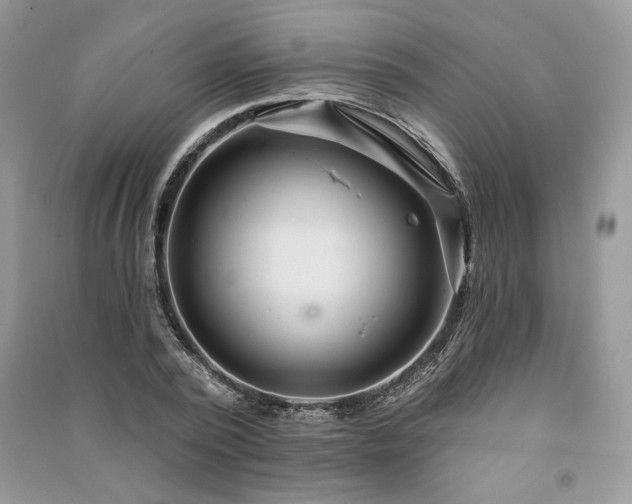X0000091090784200708131318