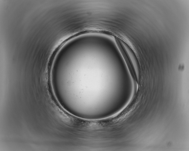 X0000091090787200708131318