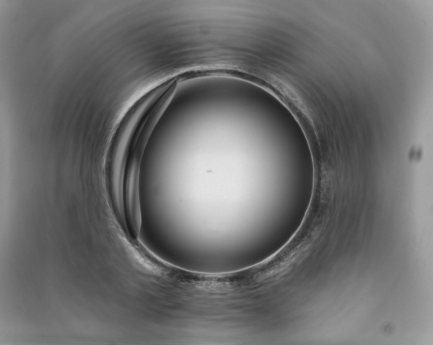 X0000091090789200708131318
