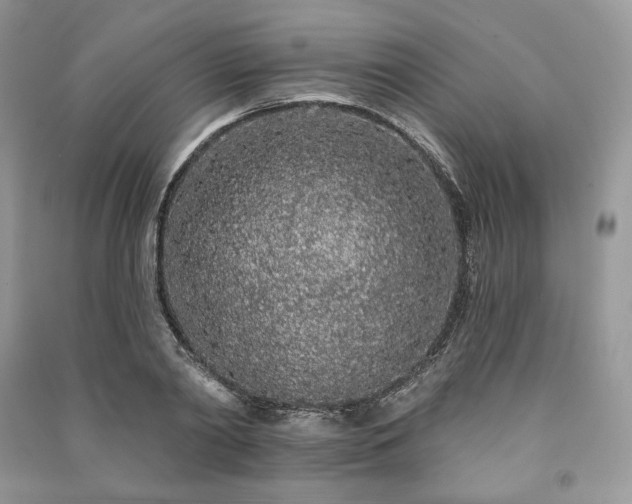 X0000091090790200708131318