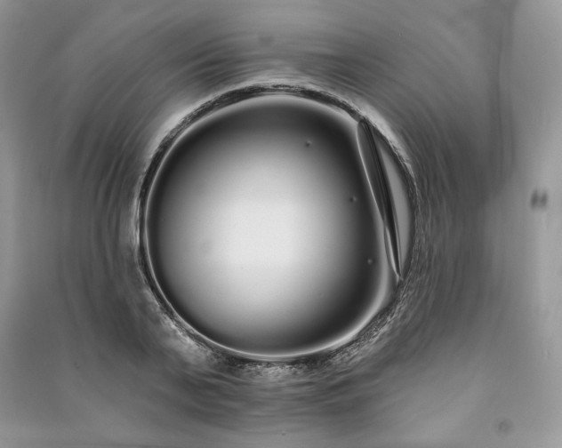 X0000091090791200708131318