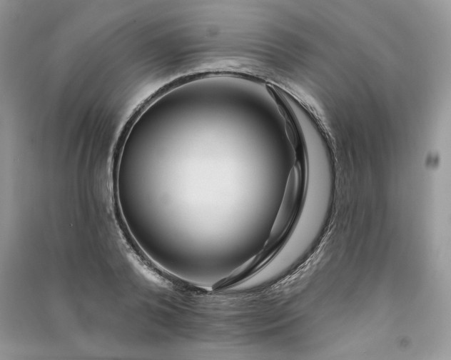 X0000091090792200708131318