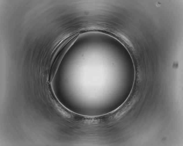 X0000091090793200708131318