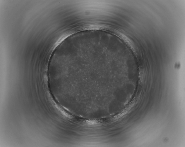 X0000091090794200708131318