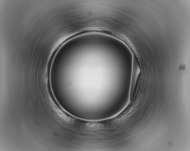 X0000091090795200708131318