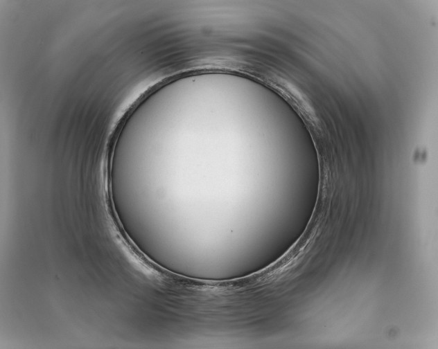 X0000091090796200708131318