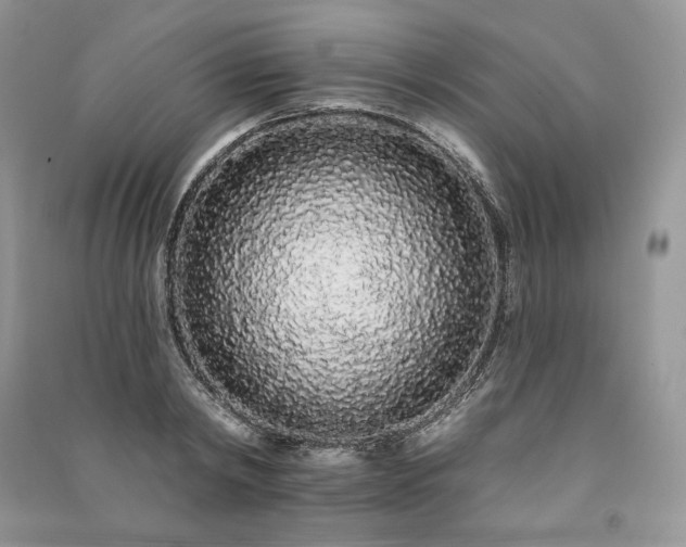 X0000091090798200708131318