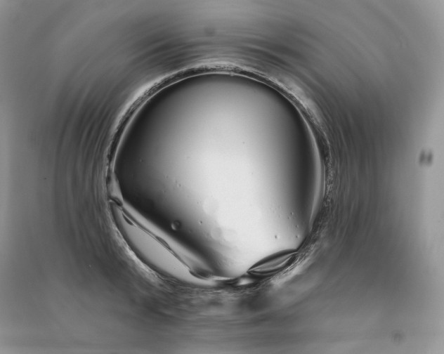 X0000091090799200708131318