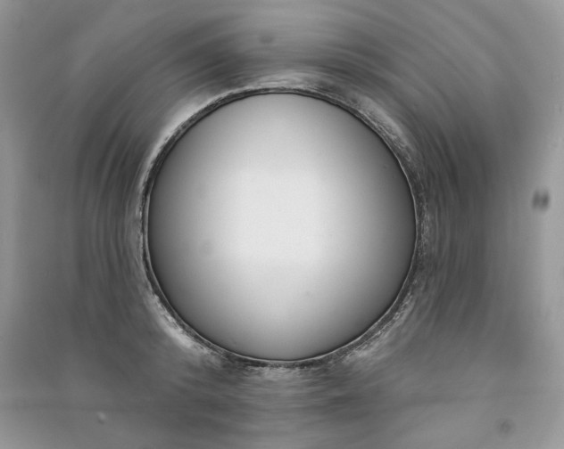 X0000091090800200708131318