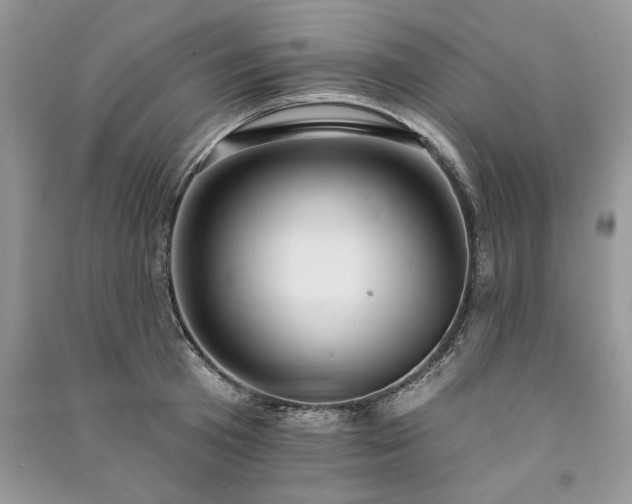 X0000091090801200708131318