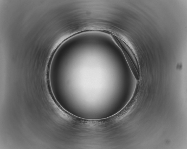 X0000091090803200708131318