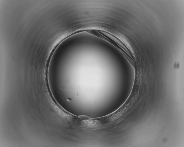 X0000091090805200708131318
