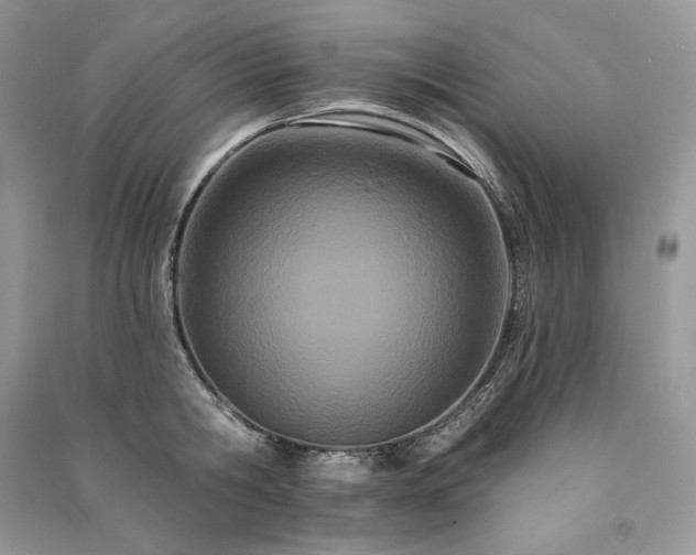 X0000091090806200708131318