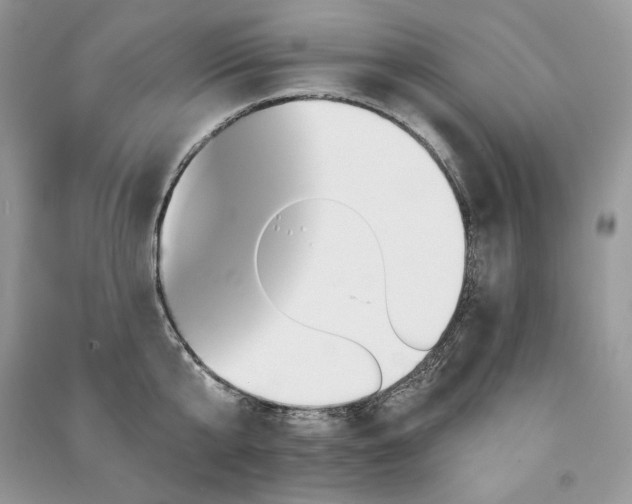 X0000091090807200708131318