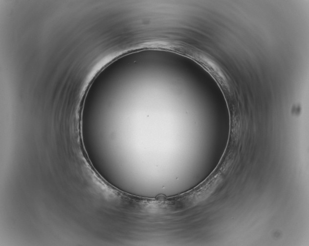 X0000091090808200708131318