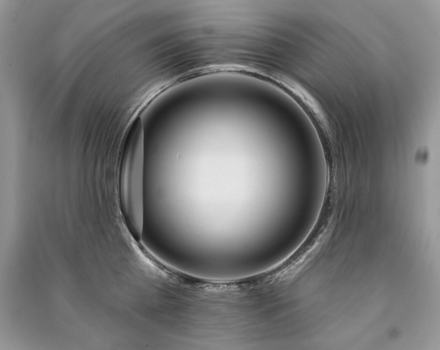 X0000091090809200708131318