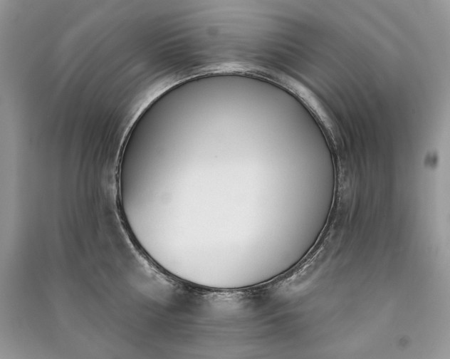 X0000091090810200708131318