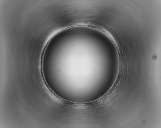 X0000091090811200708131318