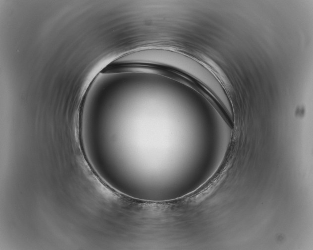 X0000091090812200708131318
