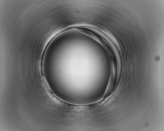 X0000091090813200708131318