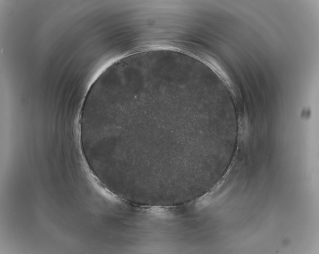 X0000091090814200708131318