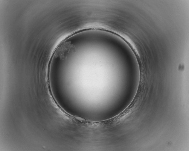 X0000091090815200708131318