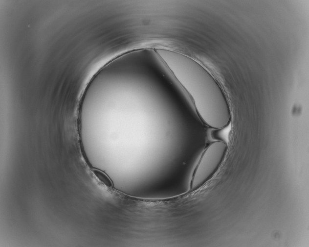 X0000091090816200708131318