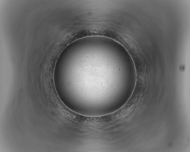 X0000091090817200708131317