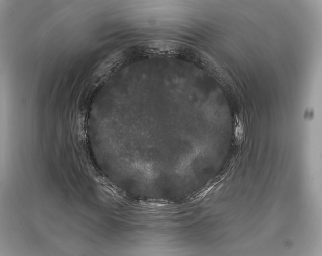 X0000091090819200708131317