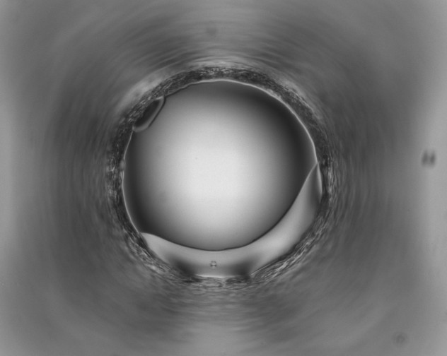 X0000091090822200708131317