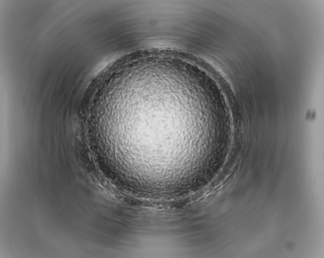X0000091090823200708131317