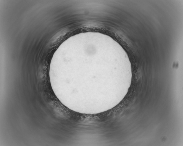 X0000091090824200708131317