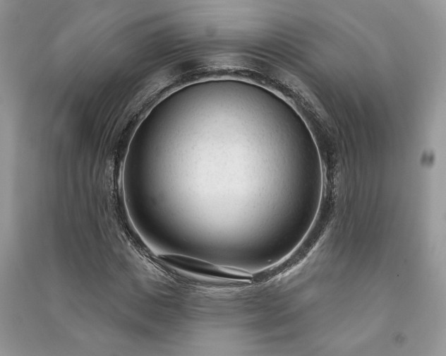 X0000091090825200708131317