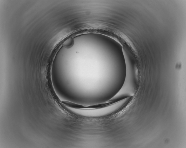 X0000091090826200708131317