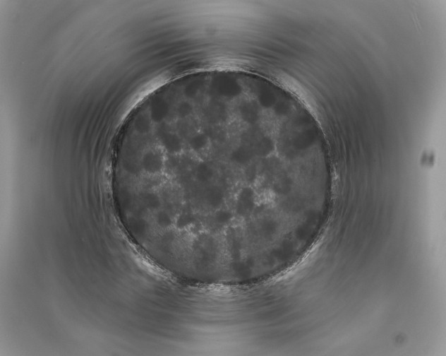 X0000091090827200708131317