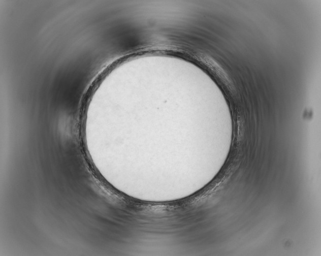 X0000091090828200708131317
