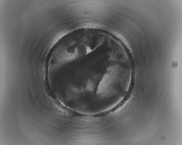 X0000091090829200708131317