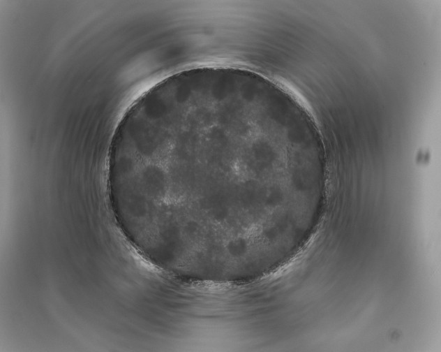 X0000091090831200708131318
