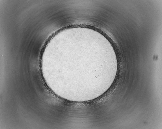 X0000091090832200708131318