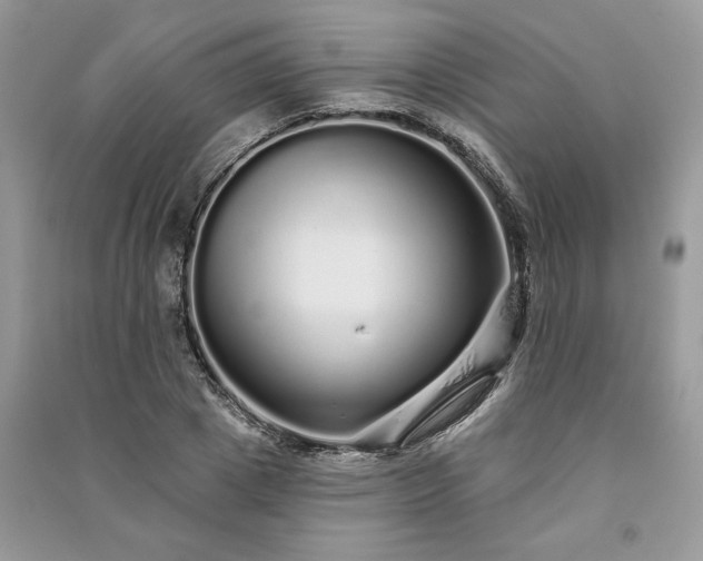 X0000091090833200708131318