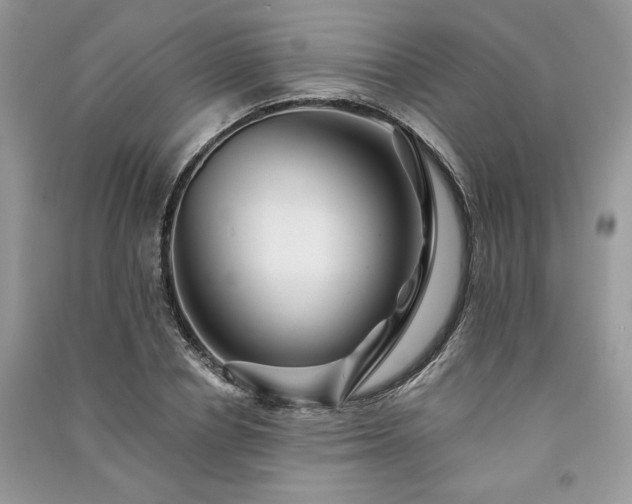 X0000091090834200708131318
