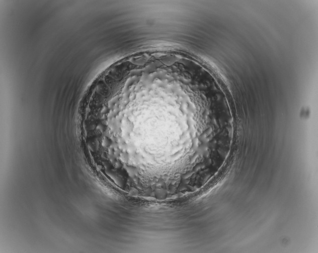X0000091090835200708131318