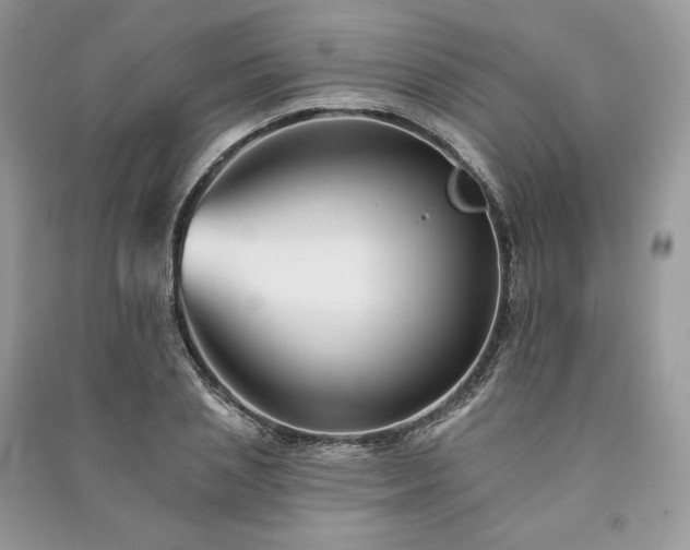 X0000091090837200708131318