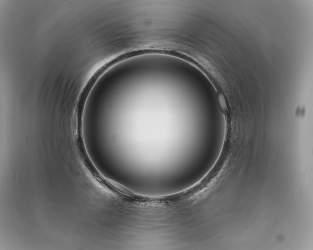 X0000091090838200708131318