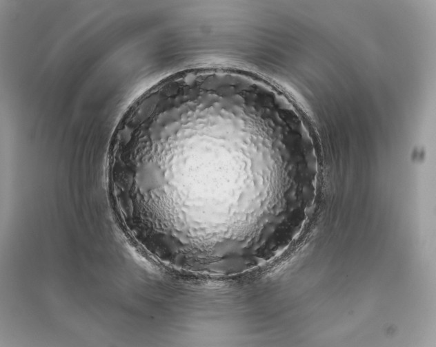 X0000091090839200708131318