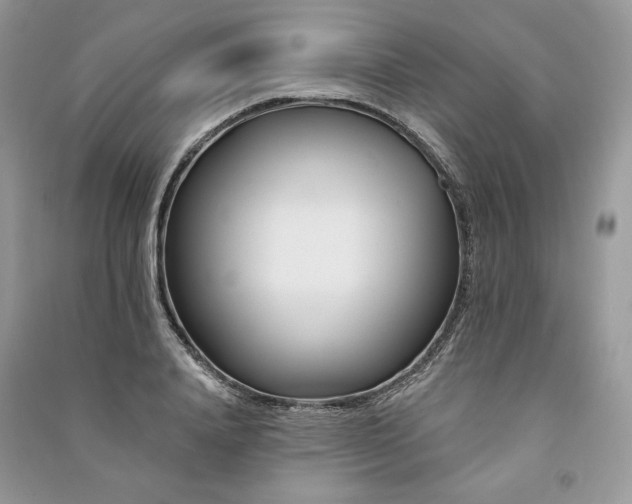 X0000091090840200708131318