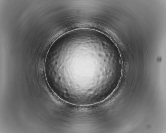X0000091090841200708131318