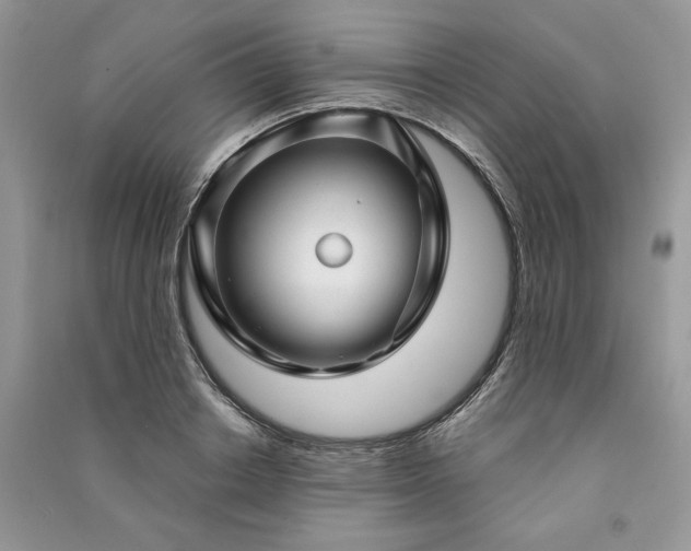 X0000091090842200708131318
