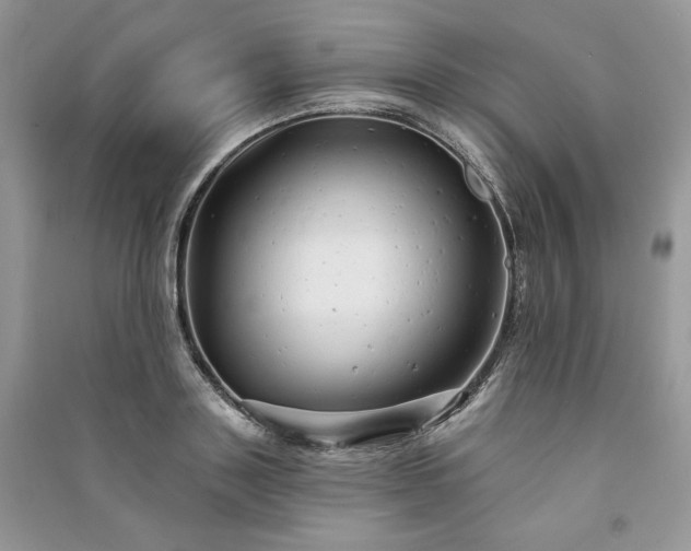 X0000091090843200708131318