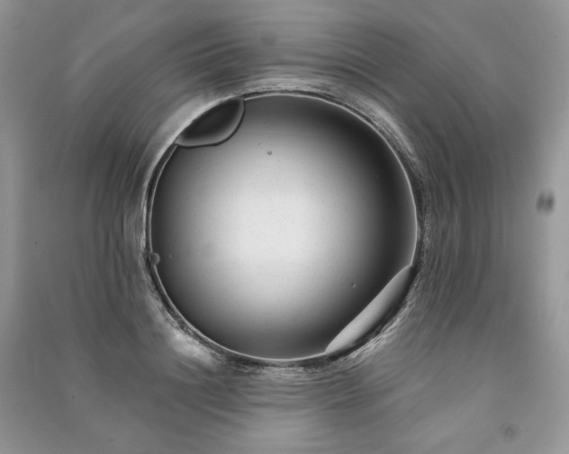 X0000091090844200708131318